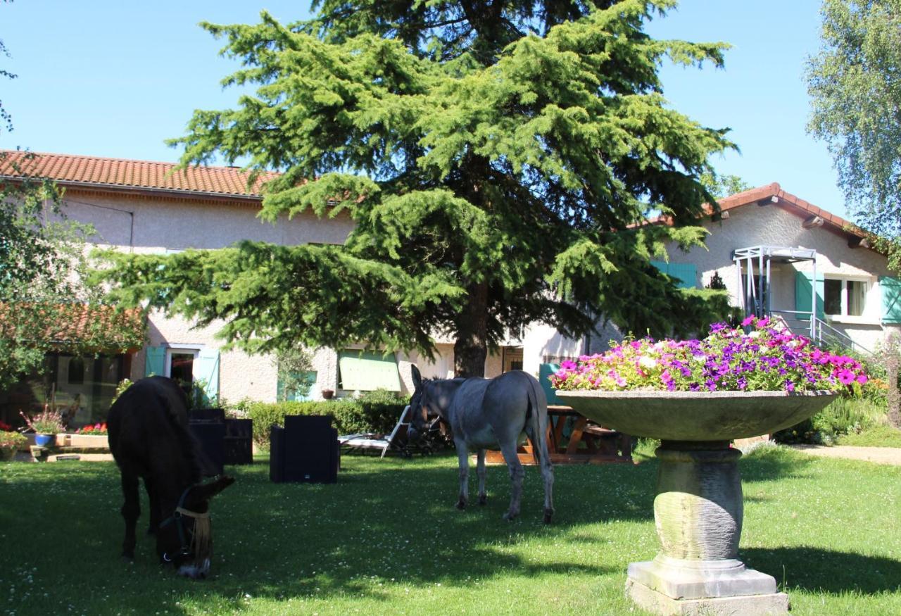 CulhatLa Ferme De Capucine住宿加早餐旅馆 外观 照片