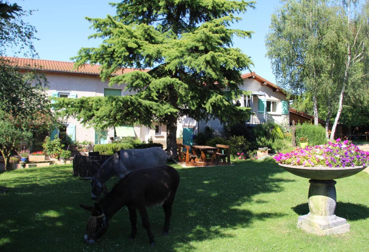 CulhatLa Ferme De Capucine住宿加早餐旅馆 外观 照片